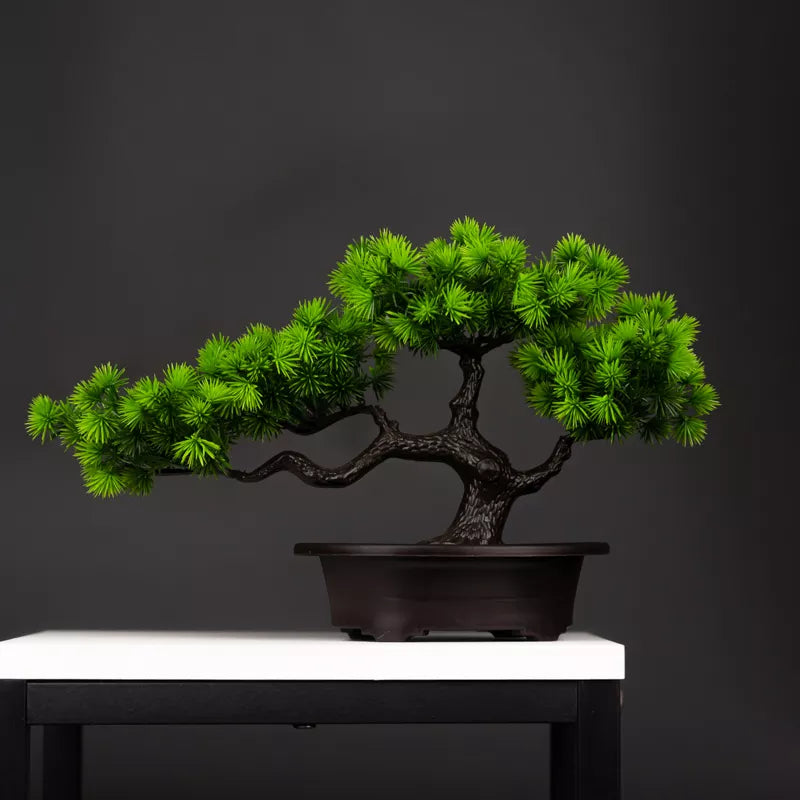 Bonsai de Pinheiro Artificial Com 27cm - Decoração de Mesa e Ambiente